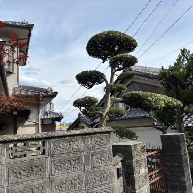 高槻市　N様邸